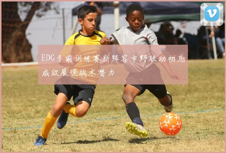 EDG季前训练赛新阵容中野联动初见成效展现战术潜力